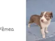 Não tenho nome ainda
