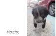 Ainda não tenho nome