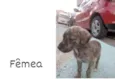 Ainda não tem nome 