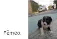 Ainda não tenho nome