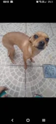 Mel