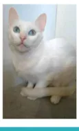 MAITÊ