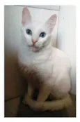 MAITÊ