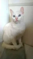 MAITÊ