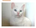 MAITÊ