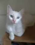 MAITÊ