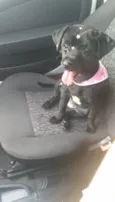Lola