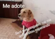 Benê