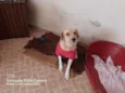 Benê