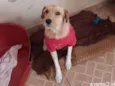 Benê