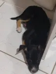 Não tem