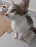 Riquinho