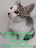 Riquinho