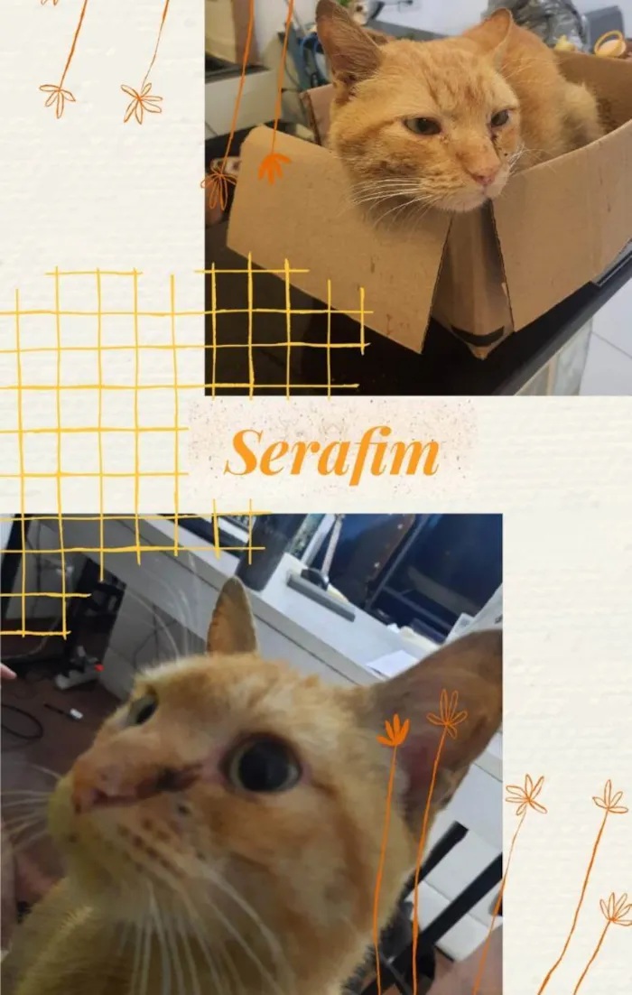 Serafim