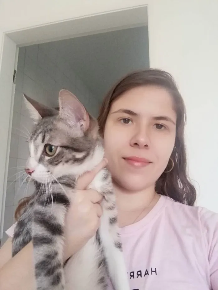 Gato ra a SRD idade 2 a 6 meses nome Mel