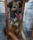 Snoop