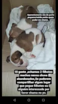 Sem nome