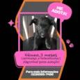 Ramon/ kika