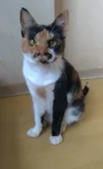 Linda