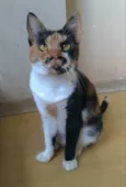 Linda