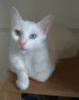 MAITÊ