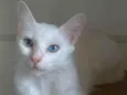 MAITÊ
