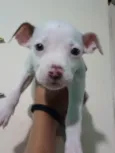 Linda