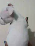 Linda