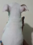 Linda
