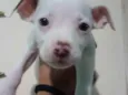 Linda