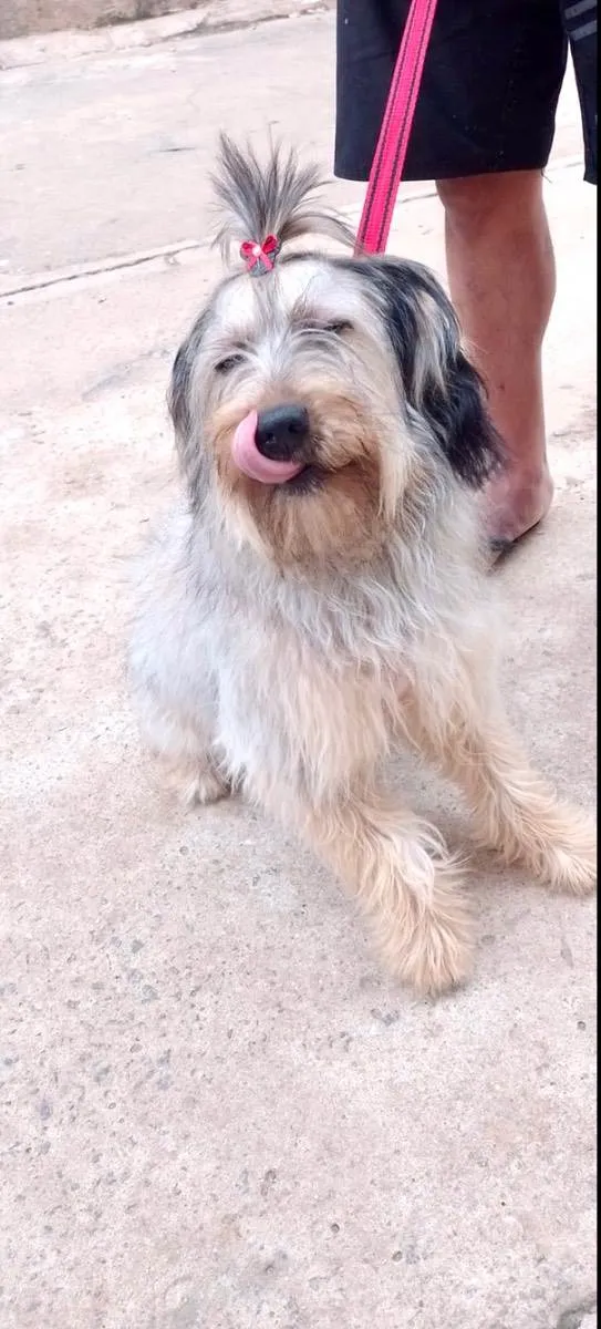 Luna bb8 meses linda