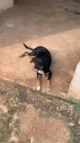 Nina