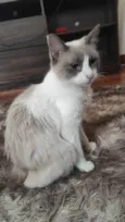 Lumi e filhos 