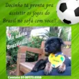 DOCINHO