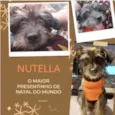 Nutella