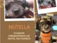 Nutella