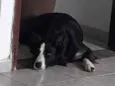 Atena
