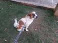 Manu