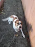Manu
