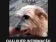 Kirara 
