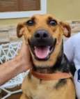 Lola