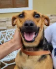 Lola