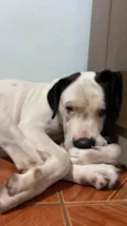 Barão