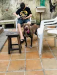 Cachorro raça American pit bull terrier idade 1 ano nome Esmeralda 