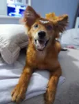 Jully