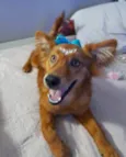 Jully