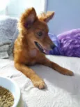 Jully