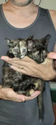 Irmãs