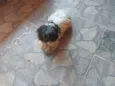 Bili