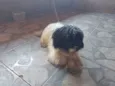 Bili